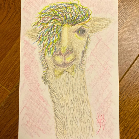 Unframed Original Character Art Illustration in Pencil Crayon Drama Llama - Picture 1 of 2